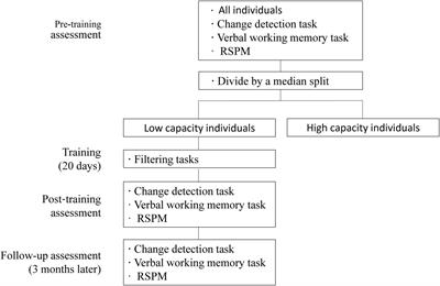 Visual Working Memory Capacity Can Be Increased by Training on Distractor Filtering Efficiency